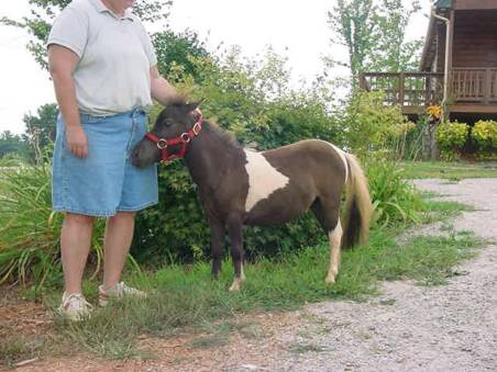 Yearling pic