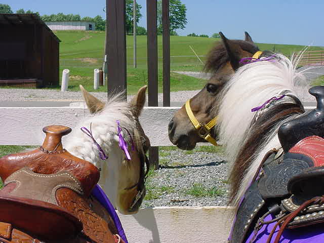 "Angei" & "Buddy" watch for the children!