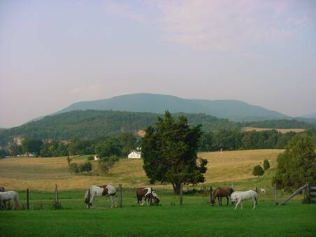 Guthrie Estate ~ Ripplemead Va.
